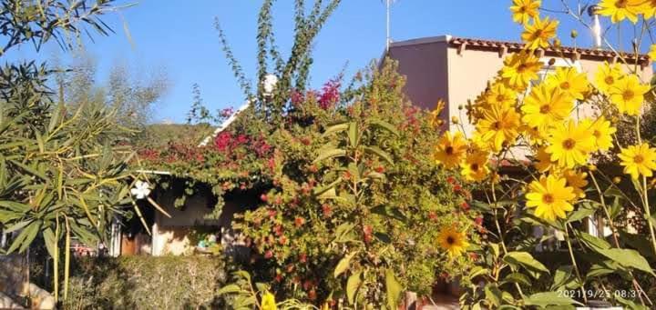 Spiti Lou Apartment Notos Phòng bức ảnh